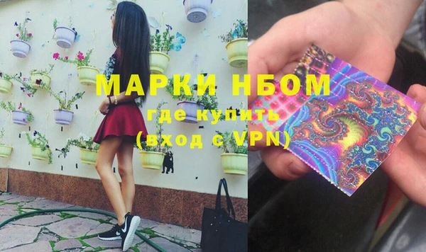 СК Алексин