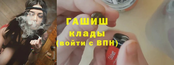 СК Алексин
