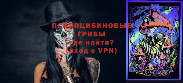 амф Коряжма