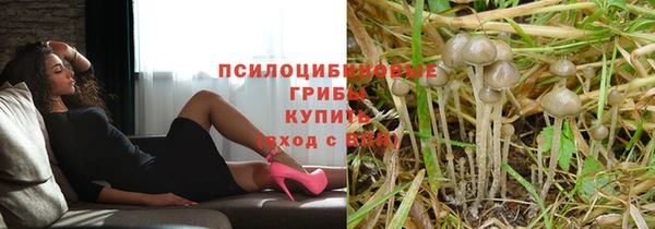 стафф Костерёво
