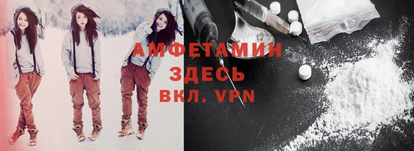 индика Абаза